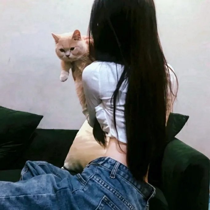 钢魂